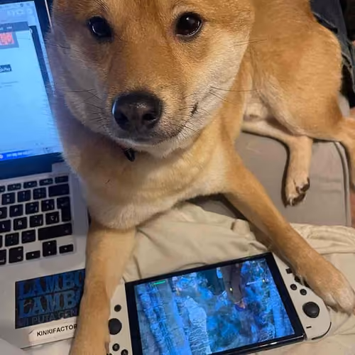 Zora Posts