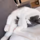 cats__2(・∀・)