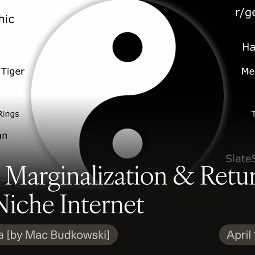 Rise, Marginalization & Return of the Niche Internet