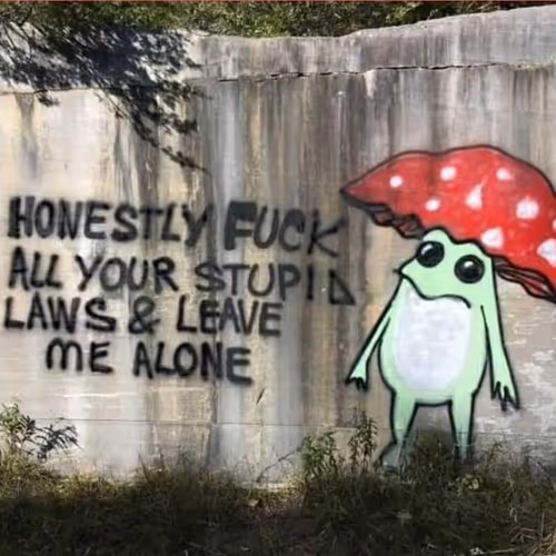 Shroom Hat Frog