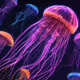 Crypto Jellyfish