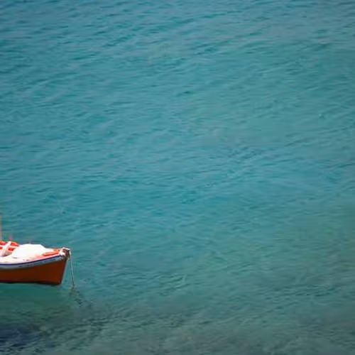 Disc Experience Receptor