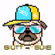 Pugz Infinity