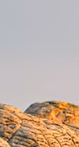 Mount