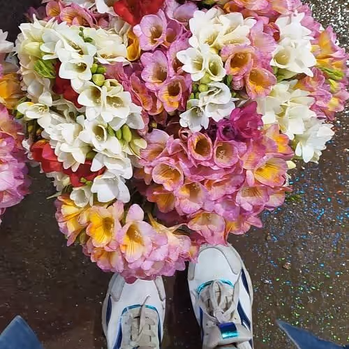 bouquet