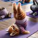 so cute cat
