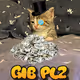 Gib Plz