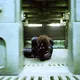 Stranger