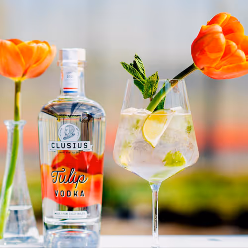 Tulip Wodka