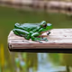 Bridge Frog