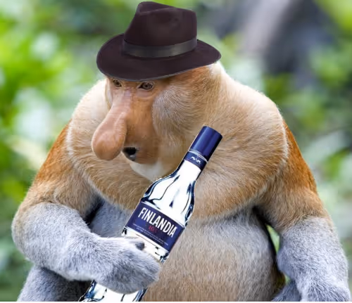 Mr Monkey