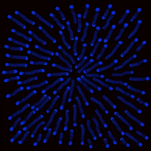 Emotional intelligence 