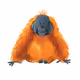 orange gorilla