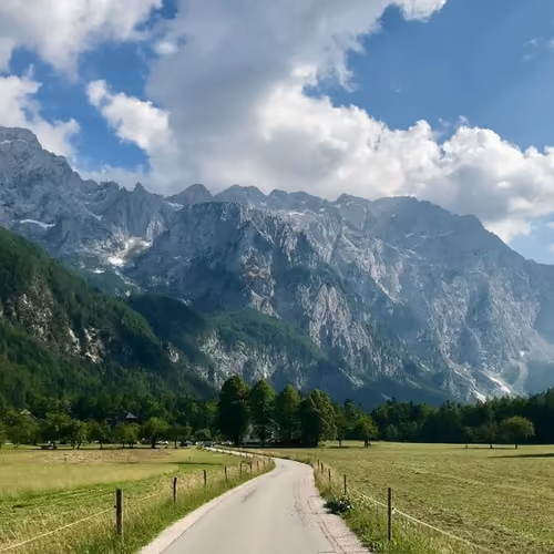 Road at summer