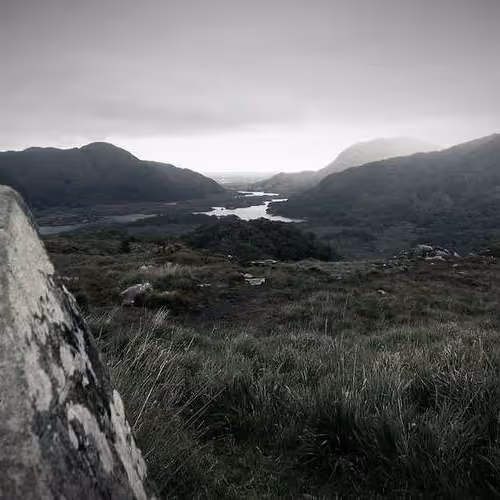 Distinction Downloading Tackle