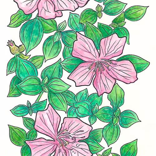 Traditional Art