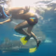 dancer with shark