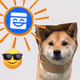 shiba