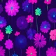 FLOWRA by LOLAW