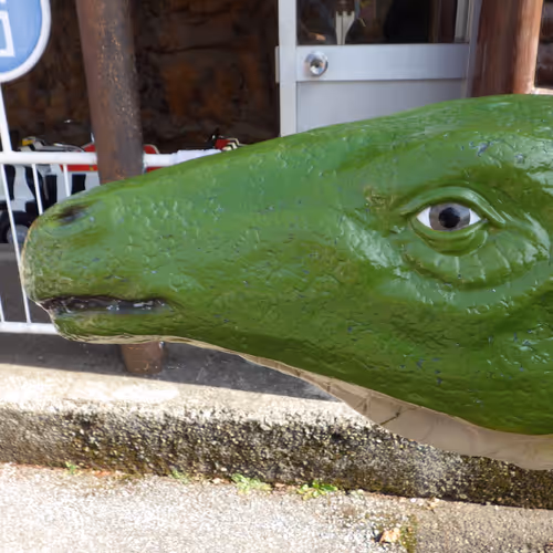 pepepe