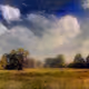 Nature_1