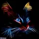 Neoncat