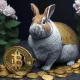 Happy Rabbit with BTC
