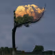 clouds