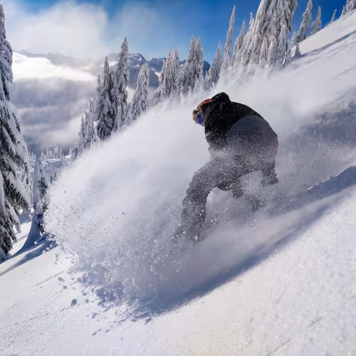 Snowboarding Dreams