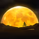 Final moon