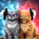 Kittens