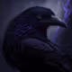 Dark Crow
