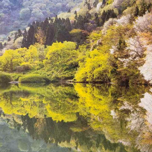 reflect