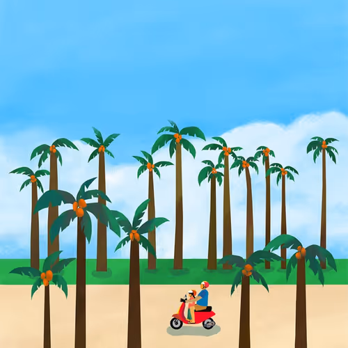 enjoy travel