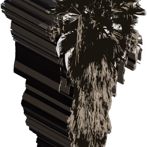 Palm Tree Escape