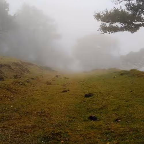 Rendering Rated Regulated