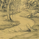 willow tree