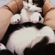 DeepMMP