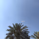 Dubai palma