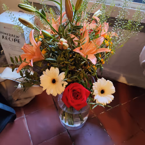 my little dream house