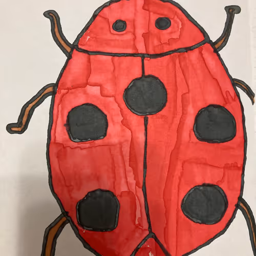 LADYBUG