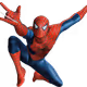 SPAIDERMEN