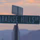 Paradise