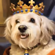 Lucky is king