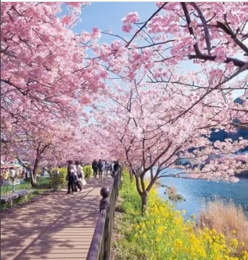 spring