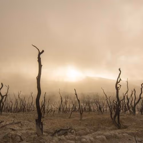 Custom Opepen by Opepen Studio