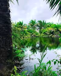 Wizzy’s place