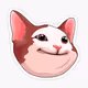 meme coin