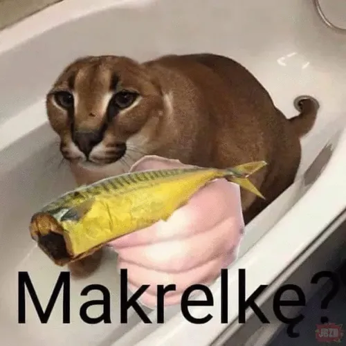 Szpiegotka's memes