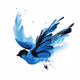 Bird Fly Higher